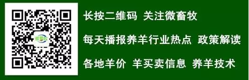 打算养羊或者阔栏//.