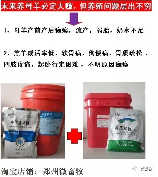 母羊多数流产大多原因.