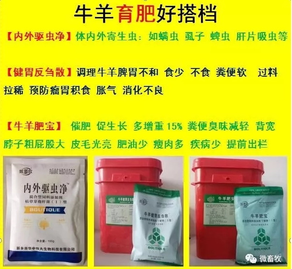 猪价上天了，羊价何时.